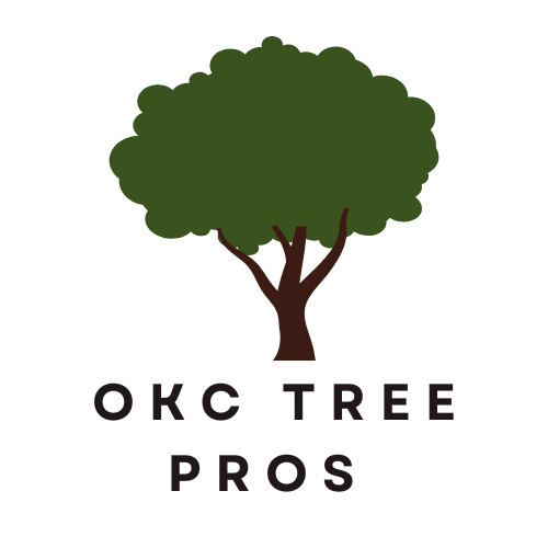 OKC Tree Pros - Professional Tree Service Company in Oklahoma City