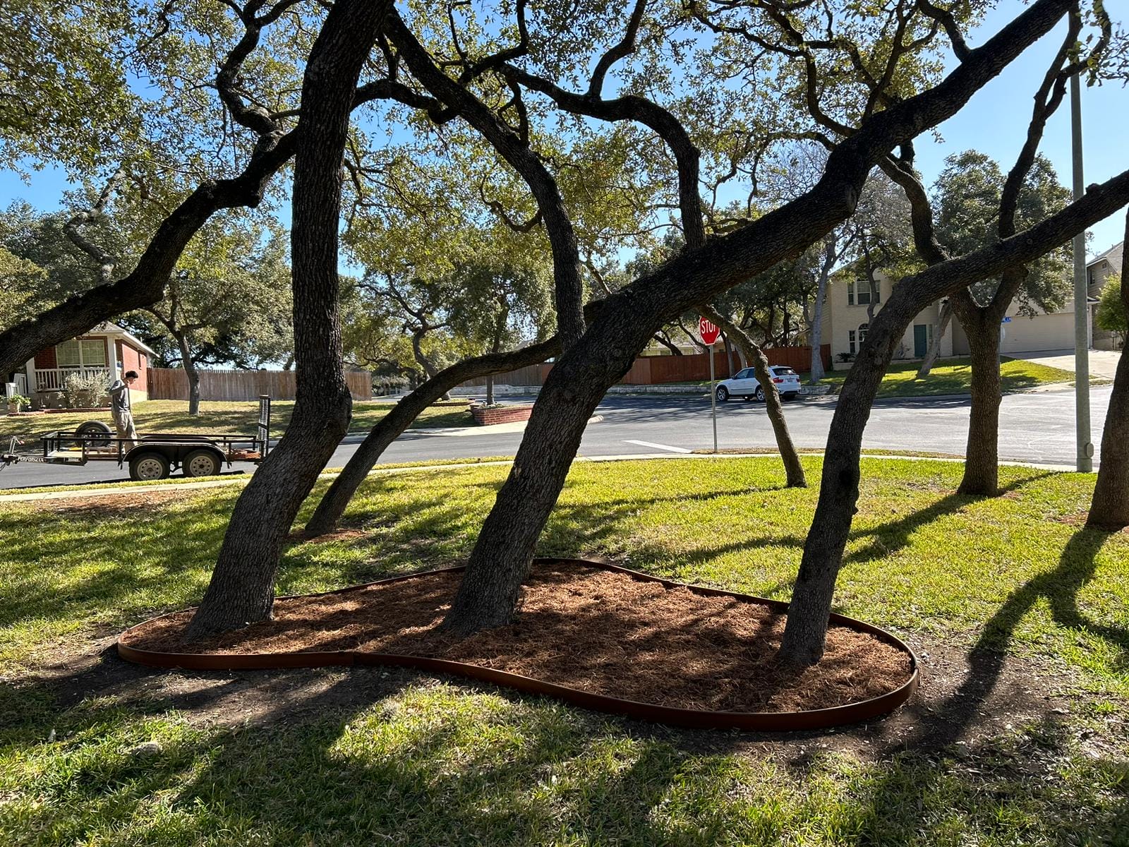 OKC Tree Pros team providing quality tree care services in Oklahoma City