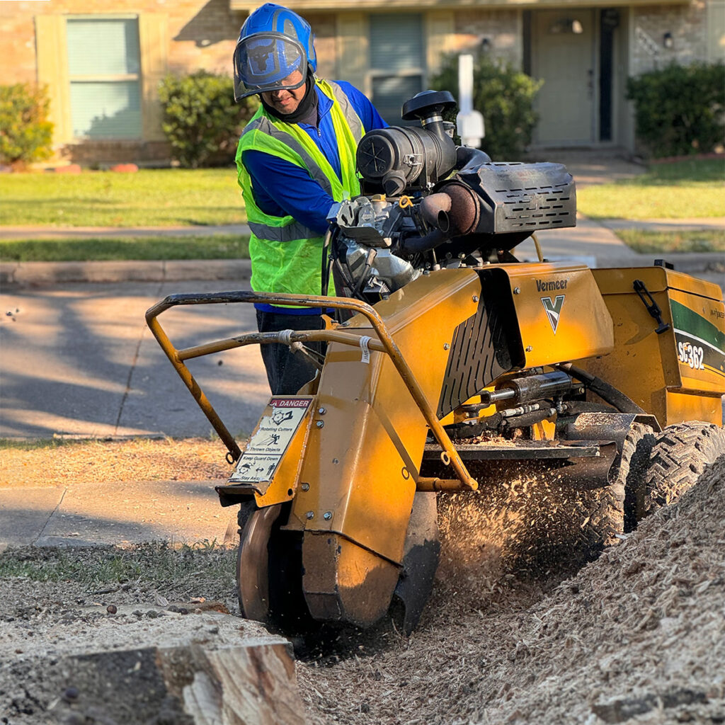 Professional stump grinding and removal service in Oklahoma City